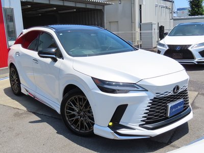 2024 Lexus RX — миниатюра 84