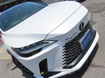 2024 Lexus RX — миниатюра 32