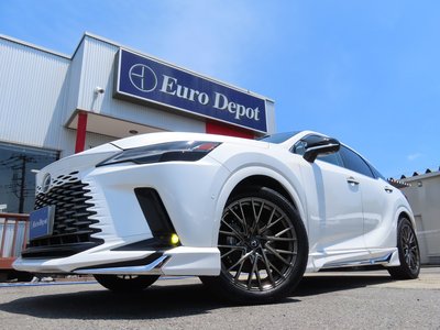 2024 Lexus RX — миниатюра 23