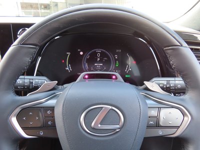 2024 Lexus RX — миниатюра 69
