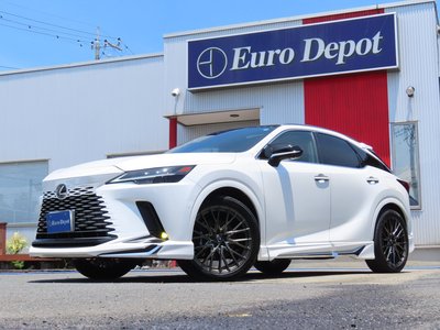 2024 Lexus RX — миниатюра 82
