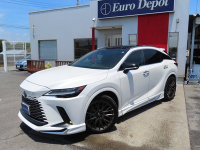 2024 Lexus RX — миниатюра 28