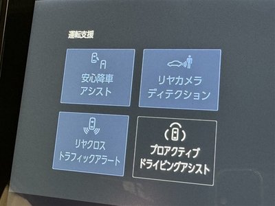 2023 Toyota ALPHARD 缩略图 23