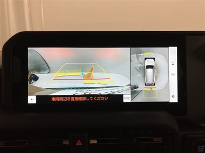 TOYOTA LAND CRUISER 250 - 8