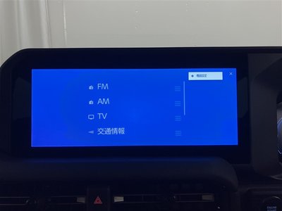 TOYOTA LAND CRUISER 250 - 9