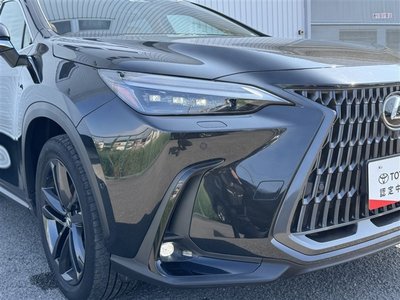 2023 Lexus NX — миниатюра 33