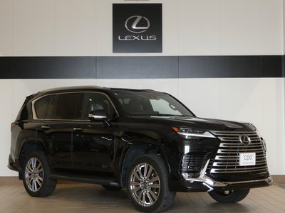 2024 Lexus LX — миниатюра 25