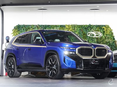 صورة 10 لـ 2023 BMW XM