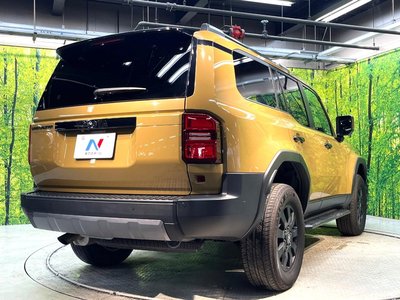 2024 Toyota LAND CRUISER 250 缩略图 18