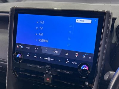 2024 Toyota ALPHARD 缩略图 29