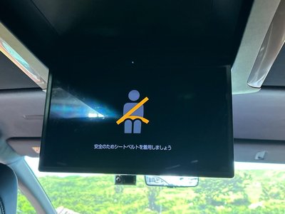 2024 Toyota ALPHARD 缩略图 43