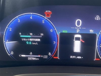 2024 Toyota ALPHARD 照片 4