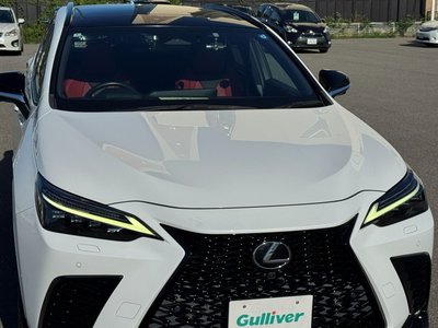 2022 Lexus NX 缩略图 24