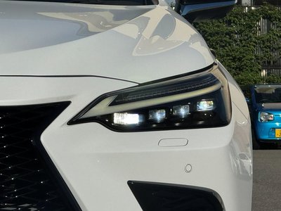 2022 Lexus NX 缩略图 29
