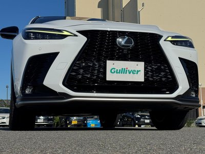 2022 Lexus NX 缩略图 26