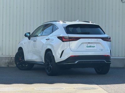 2022 Lexus NX 缩略图 20