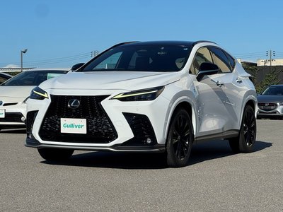 2022 Lexus NX 缩略图 21