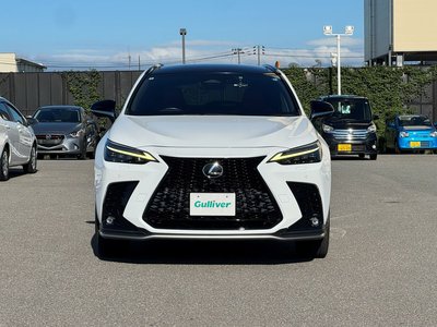2022 Lexus NX 缩略图 16
