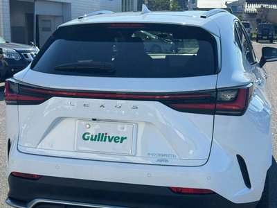 2022 Lexus NX 缩略图 39