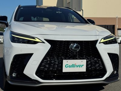 2022 Lexus NX 缩略图 25