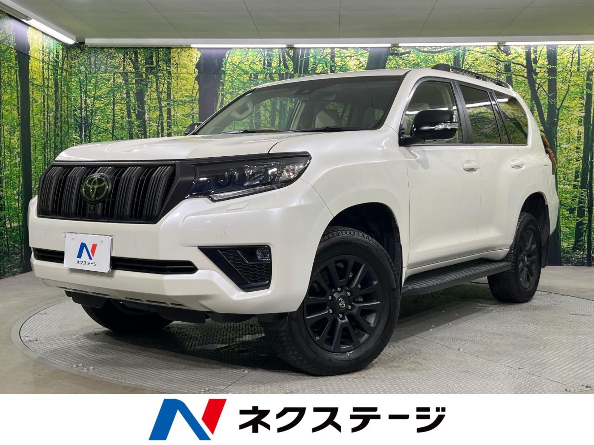 TOYOTA LAND CRUISER PRADO - View 1