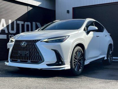 LEXUS NX - 6