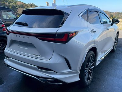 LEXUS NX - 10
