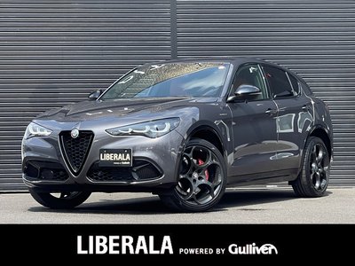 2023 ALFA Romeo STELVIO 照片 1