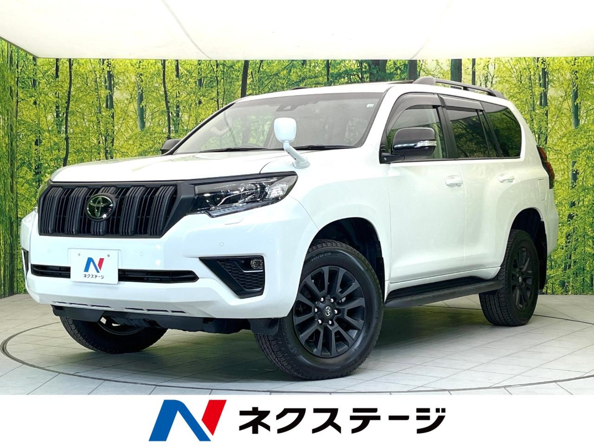 TOYOTA LAND CRUISER PRADO - View 1