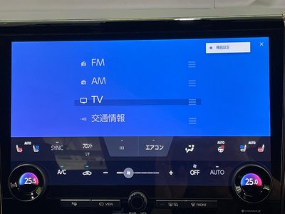 2024 TOYOTA ALPHARD 缩略图 29