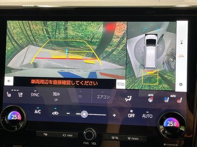 2024 TOYOTA ALPHARD 照片 8
