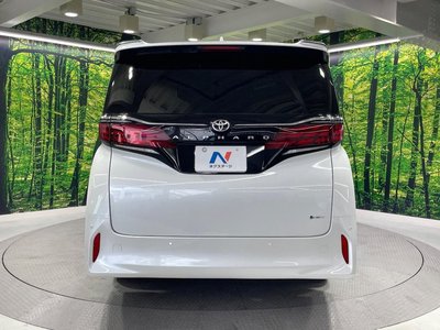 2024 TOYOTA ALPHARD 缩略图 17