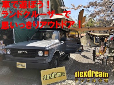 2015 Toyota LAND CRUISER 70 缩略图 75