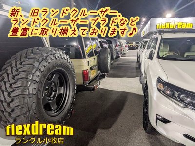 2015 Toyota LAND CRUISER 70 缩略图 73
