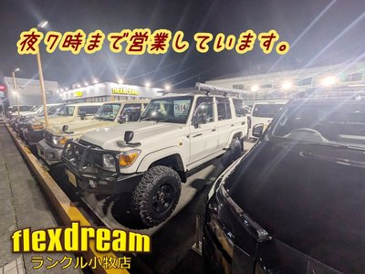 2015 Toyota LAND CRUISER 70 缩略图 72