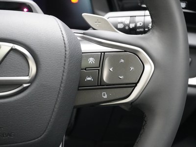 2023 Lexus RZ thumbnail 19