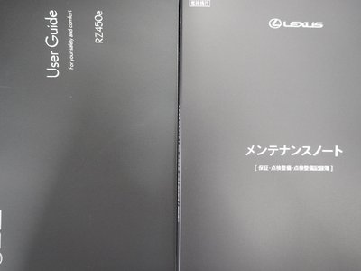 2023 Lexus RZ thumbnail 29