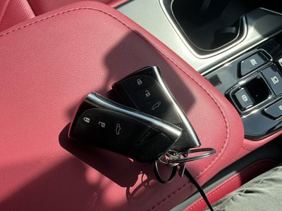 2023 Lexus NX 缩略图 21