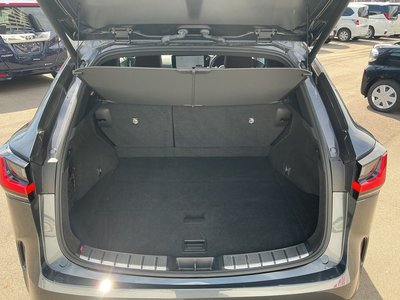 2023 Lexus NX 缩略图 11