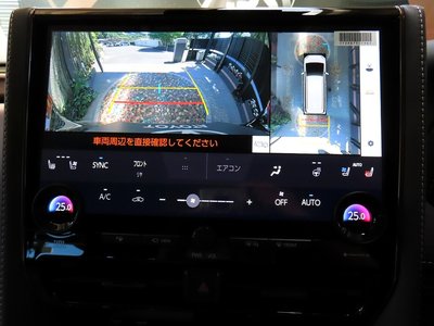 2025 Toyota ALPHARD — миниатюра 63