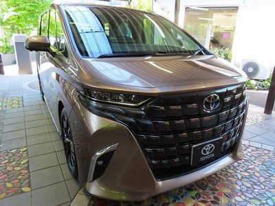 2025 Toyota ALPHARD — миниатюра 31