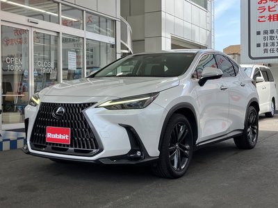 LEXUS NX - 1