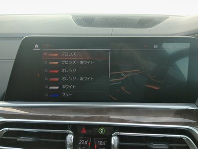 2021 BMW X5 缩略图 24