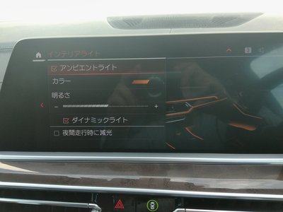 2021 BMW X5 缩略图 23