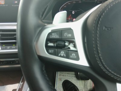 2021 BMW X5 缩略图 32