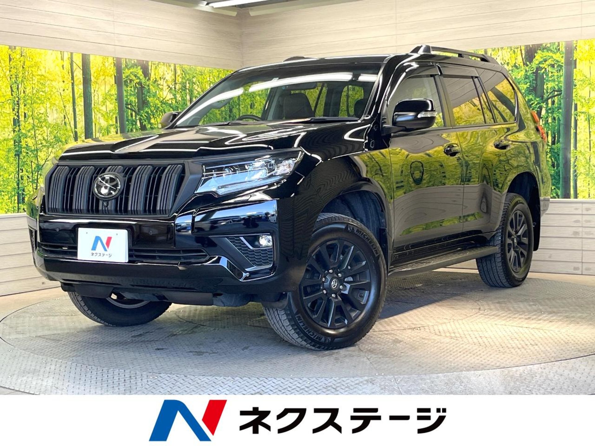 TOYOTA LAND CRUISER PRADO - View 1