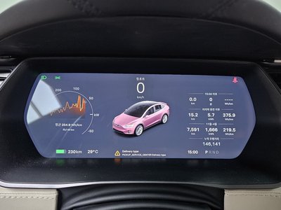 2019 Tesla MODEL X — фото 8