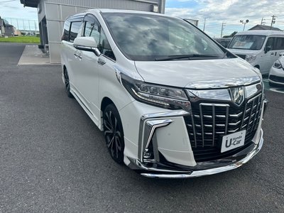 2023 Toyota ALPHARD 照片 3