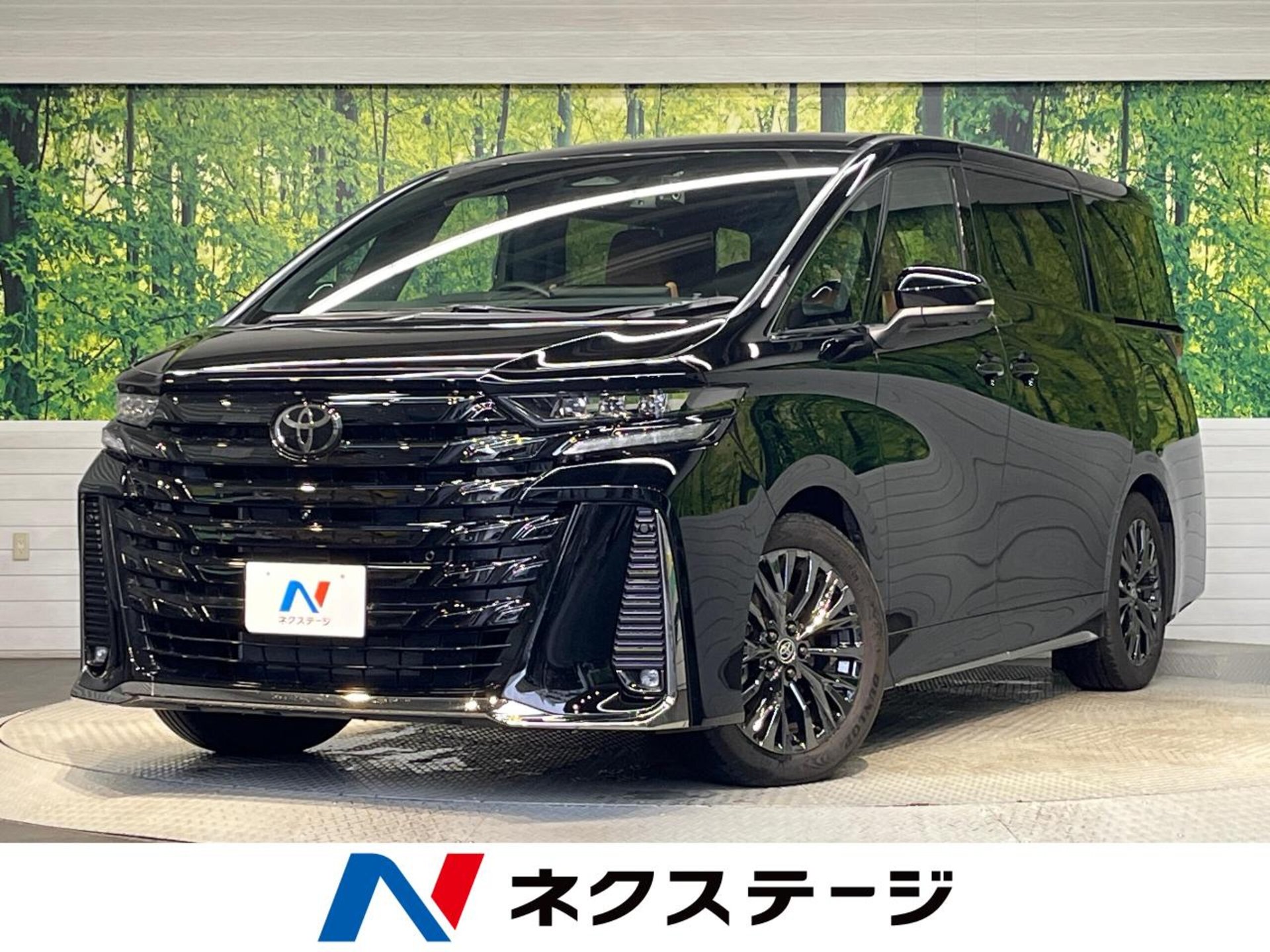 TOYOTA VELLFIRE - View 1