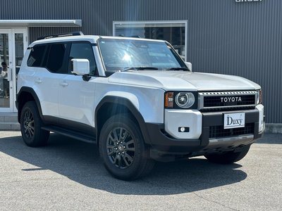 TOYOTA LAND CRUISER 250 - 10